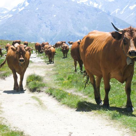 Aux Portes Du Parc National De La Vanoise Appartement Termignon Val Cenis Avec Wifi Zewnętrze zdjęcie