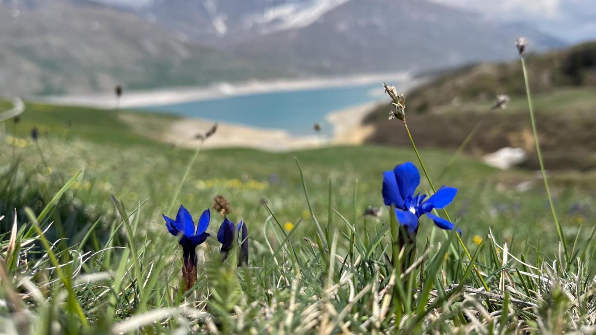 Aux Portes Du Parc National De La Vanoise Appartement Termignon Val Cenis Avec Wifi Zewnętrze zdjęcie